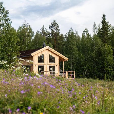 Blueberry Lodge 5 Personnes Mjolan 外观 照片