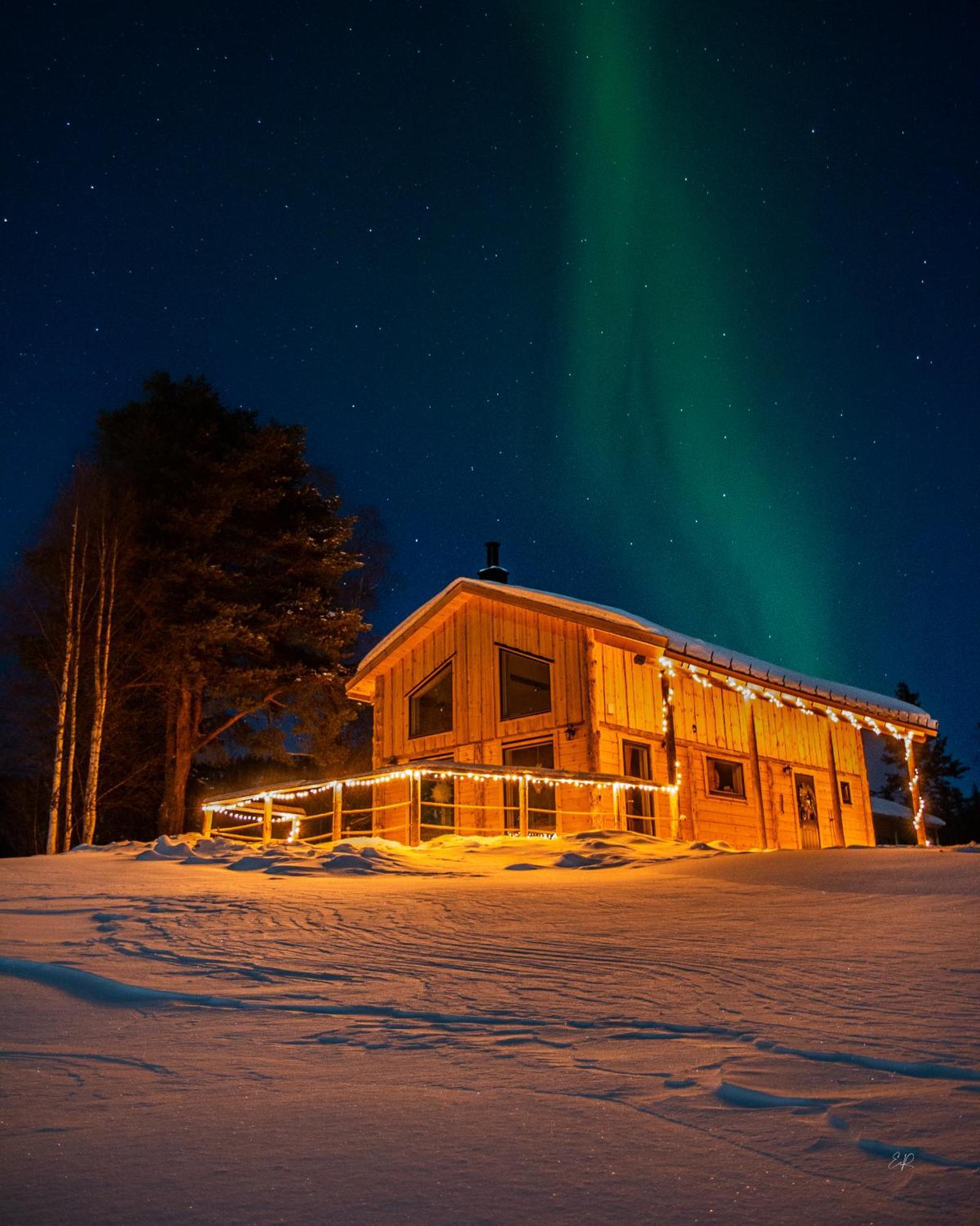 Blueberry Lodge 5 Personnes Mjolan 外观 照片