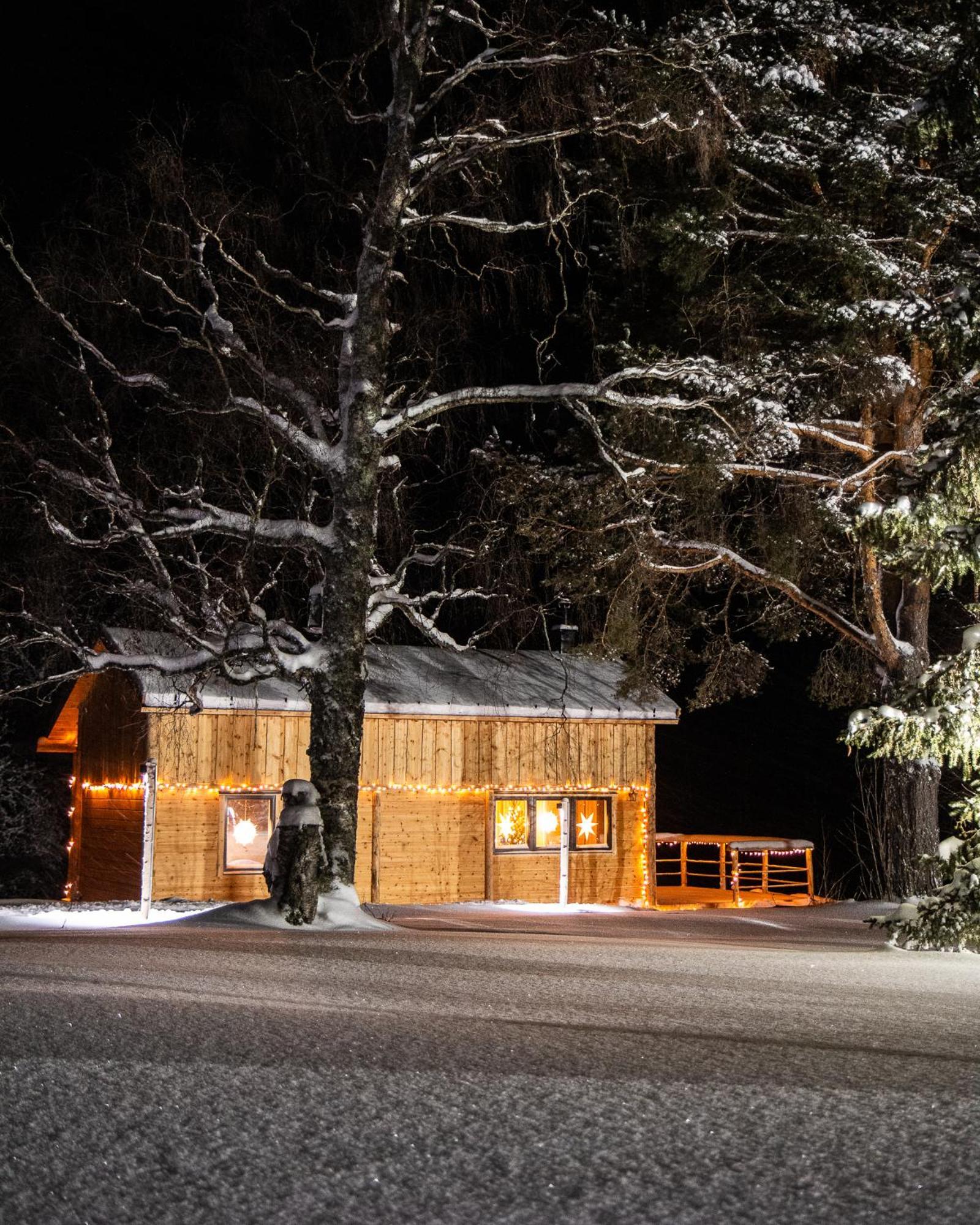 Blueberry Lodge 5 Personnes Mjolan 外观 照片