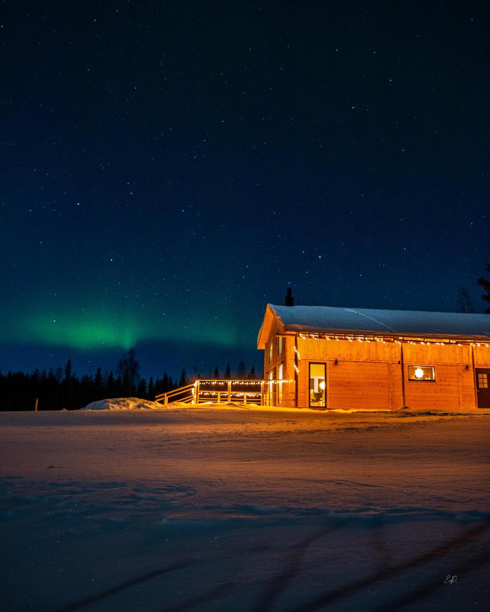 Blueberry Lodge 5 Personnes Mjolan 外观 照片